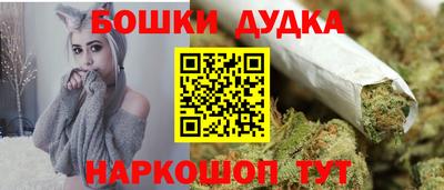 МДПВ Будённовск