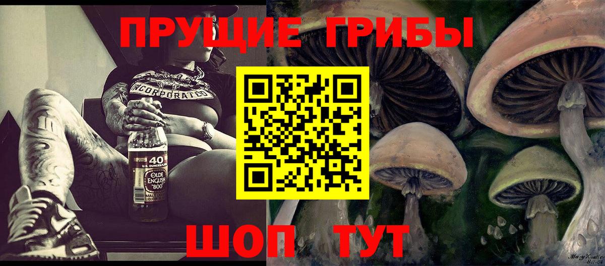 Псилоцибиновые грибы прущие грибы Соль-Илецк